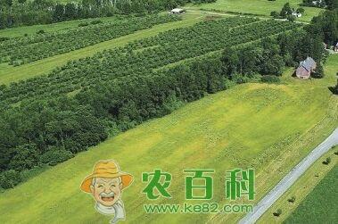 山東濱州高效生態(tài)農業(yè)建設 農業(yè)技術開發(fā)引領綠色轉型