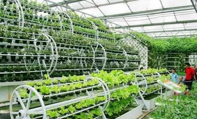 打造休閑農業項目的10大經驗總結，讓農莊越來越火！