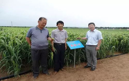 以民為本，以食為天，以安為先——蒙清農業的科技興農之路